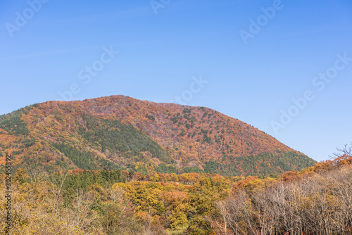 宮城 薬莱山と周辺の秋