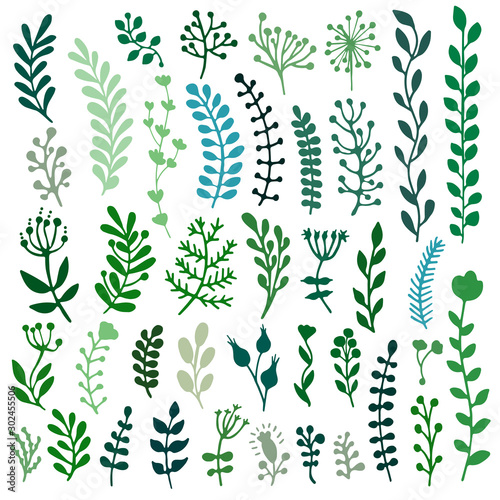 Bullet journal hand drawn vector elements for notebook, diary and planner. Set of doodles branches, herbs, flowers, plants.