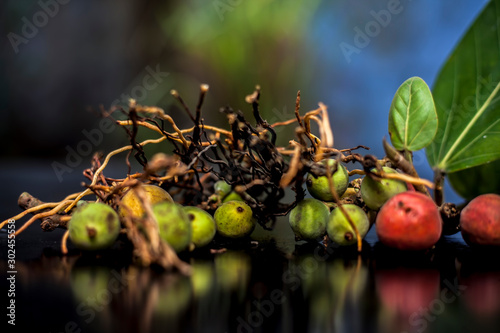 Close up shot of cut aerial roots of banyan tree along with its raw and ripe fruits on a black glossy surface. Aerial roots are used in the remedy of Tooth decay. Horizontal shot & blurred background. photo