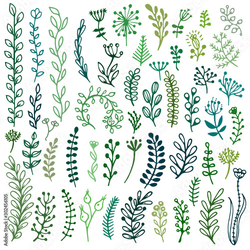 Bullet journal hand drawn vector elements for notebook, diary and planner. Set of doodles branches, herbs, flowers, plants.