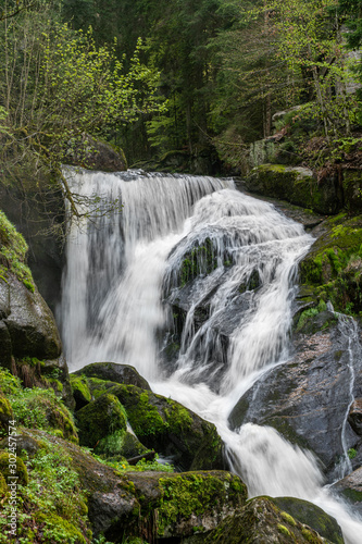 Long exposure of a waterfall in a green forest with some stones and small plants in the foreground
