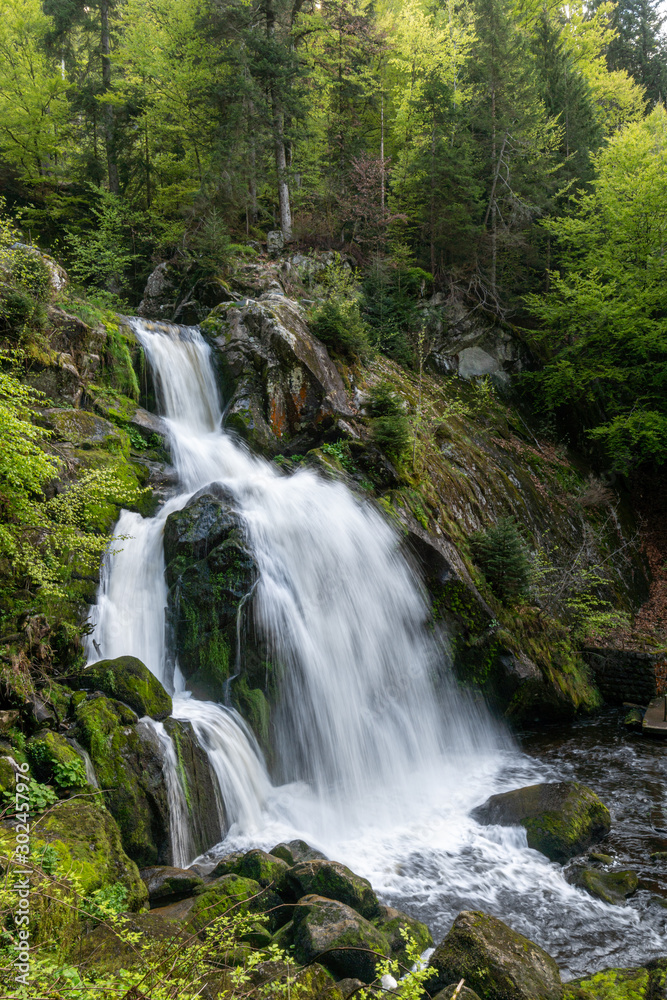 Long exposure of a waterfall in a green forest with some stones and small plants in the foreground Long exposure of a waterfall in a green forest with some stones and small plants in the foreground