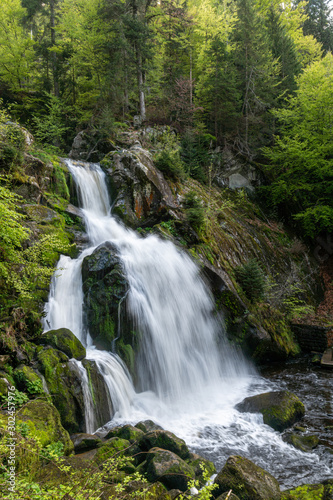 Long exposure of a waterfall in a green forest with some stones and small plants in the foreground