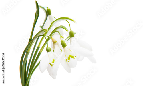 snowdrop bouquet