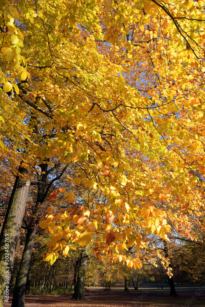 goldener oktober goldener oktober