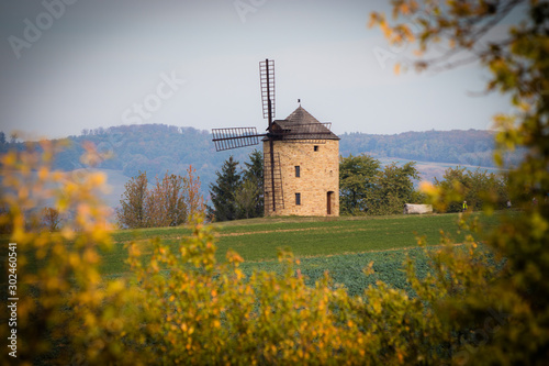 Obraz na płótnie old Windmill in Moravian Tuscany w salonie