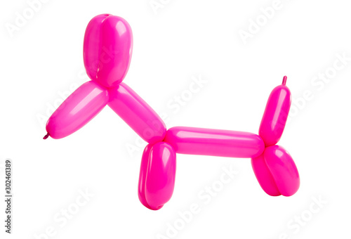 dogs from balloons isolated