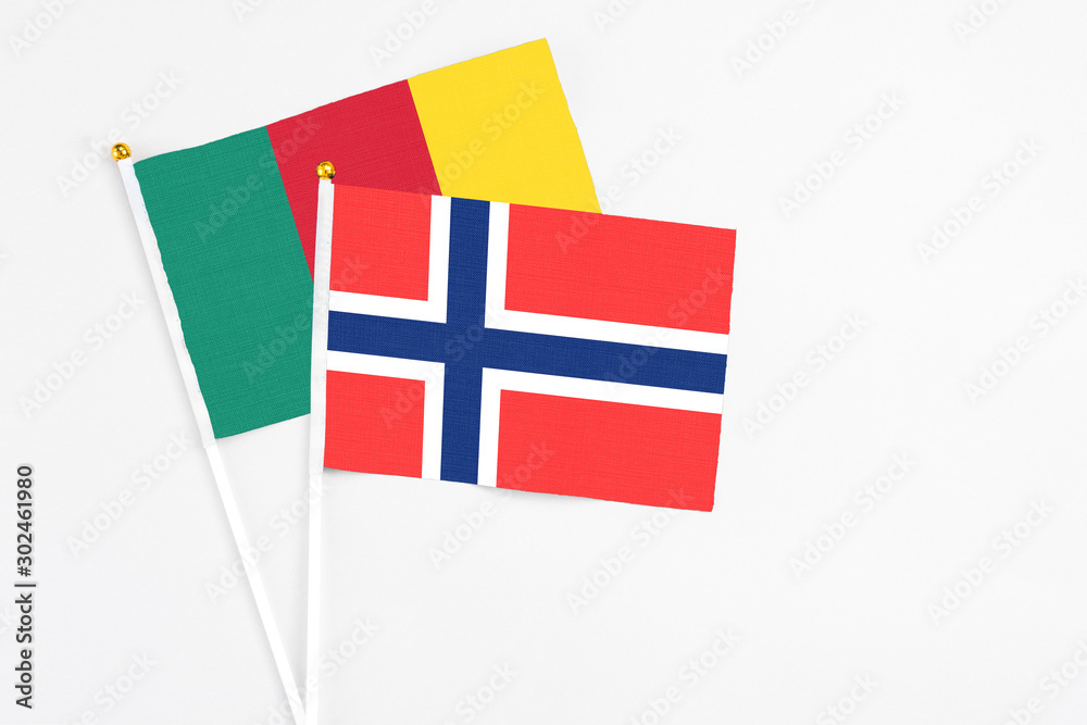 Bouvet Islands and Cameroon stick flags on white background. High quality fabric, miniature national flag. Peaceful global concept.White floor for copy space.