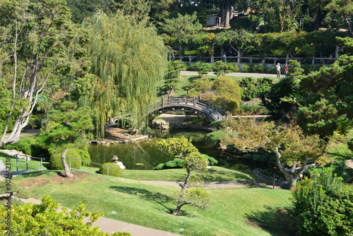 Japanese garden in California
