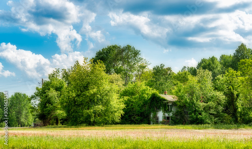 Dilapidated, rundown old farmhouse in field