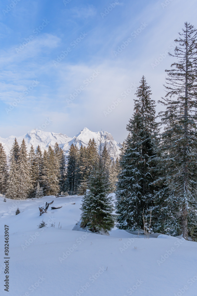 Verschneite Winterlandschaft mit Blick auf den Säntis und und den Wildhauser Schafberg im Toggenburg