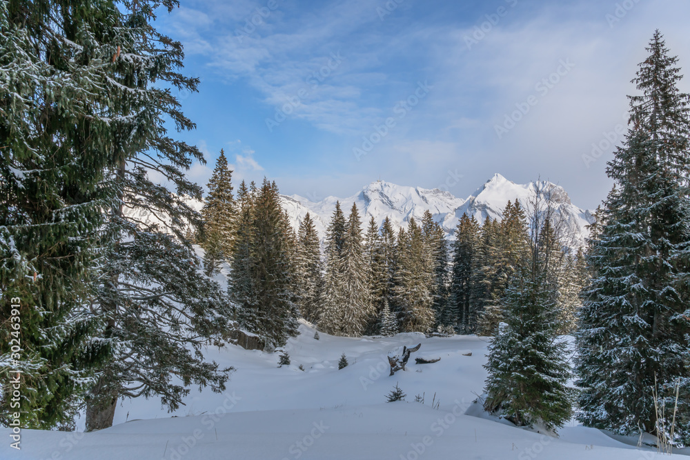 Verschneite Winterlandschaft mit Blick auf den Säntis und und den Wildhauser Schafberg im Toggenburg