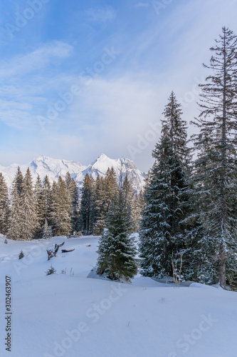 Verschneite Winterlandschaft mit Blick auf den Säntis und und den Wildhauser Schafberg im Toggenburg