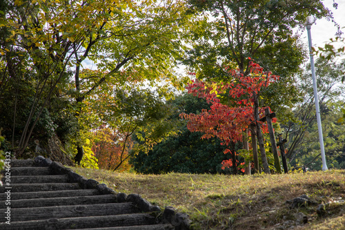京都ぶらり、船岡山の紅葉