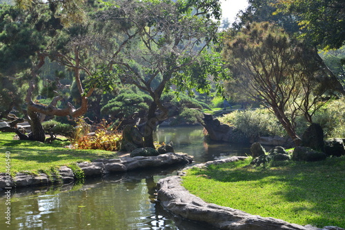 Japanese garden in California