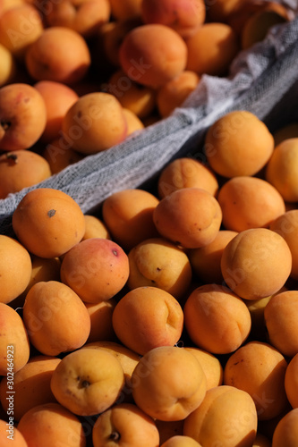 apricots on the counter of a farmers market. Natural Organic Fruits.