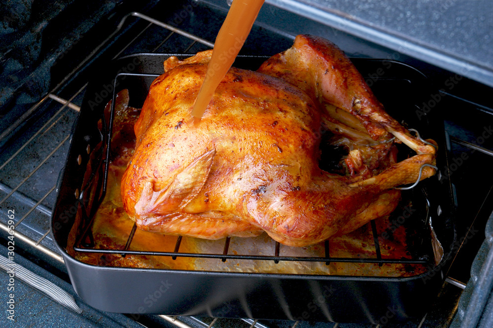 Fototapeta premium Basting a Thanksgiving Turkey in a roasting pan in an oven.