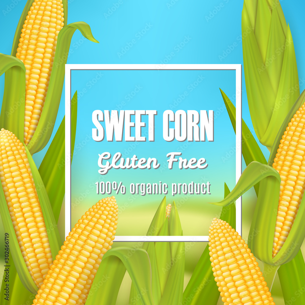 Sweet corn vector poster, label, sticker template - obrazy, fototapety, plakaty 