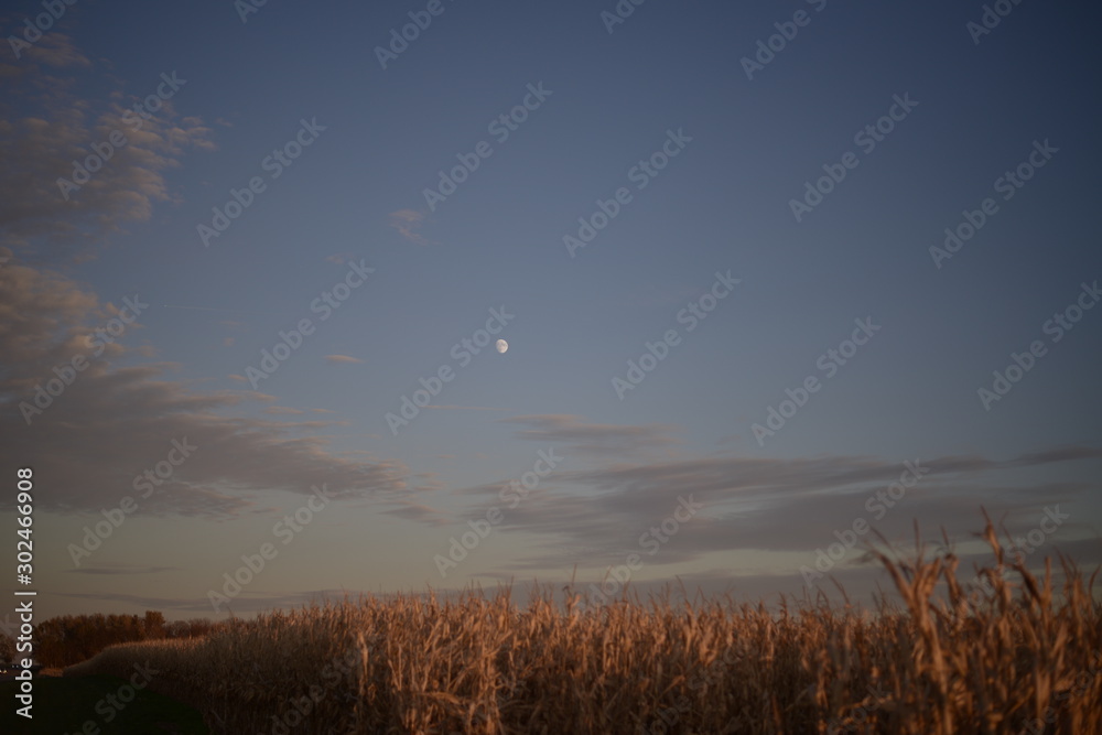moon over field with clouds at twilight moon over field with clouds at twilight