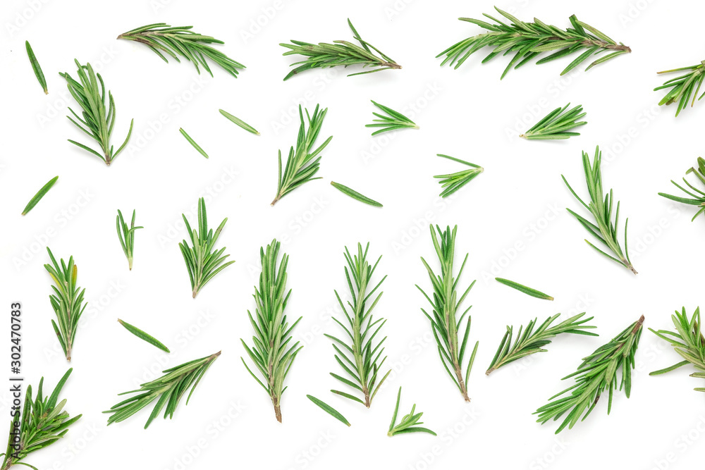 Rosemary leaves isolated on white background, top view, flat lay Rosemary leaves isolated on white background, top view, flat lay