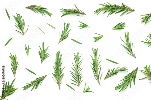 Rosemary leaves isolated on white background  top view  flat lay