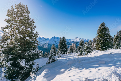 Snow covered trees in Italian alpine mountains during winter in sunny winter day