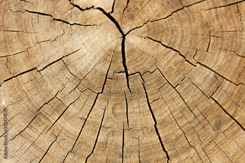 cracked wood texture