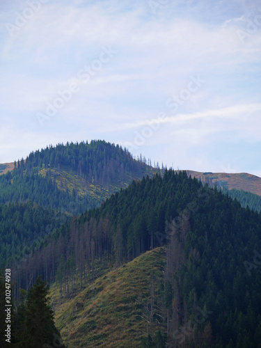 mountains in autumn forest travel © karolinaklink