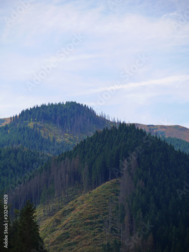 mountains in autumn forest travel