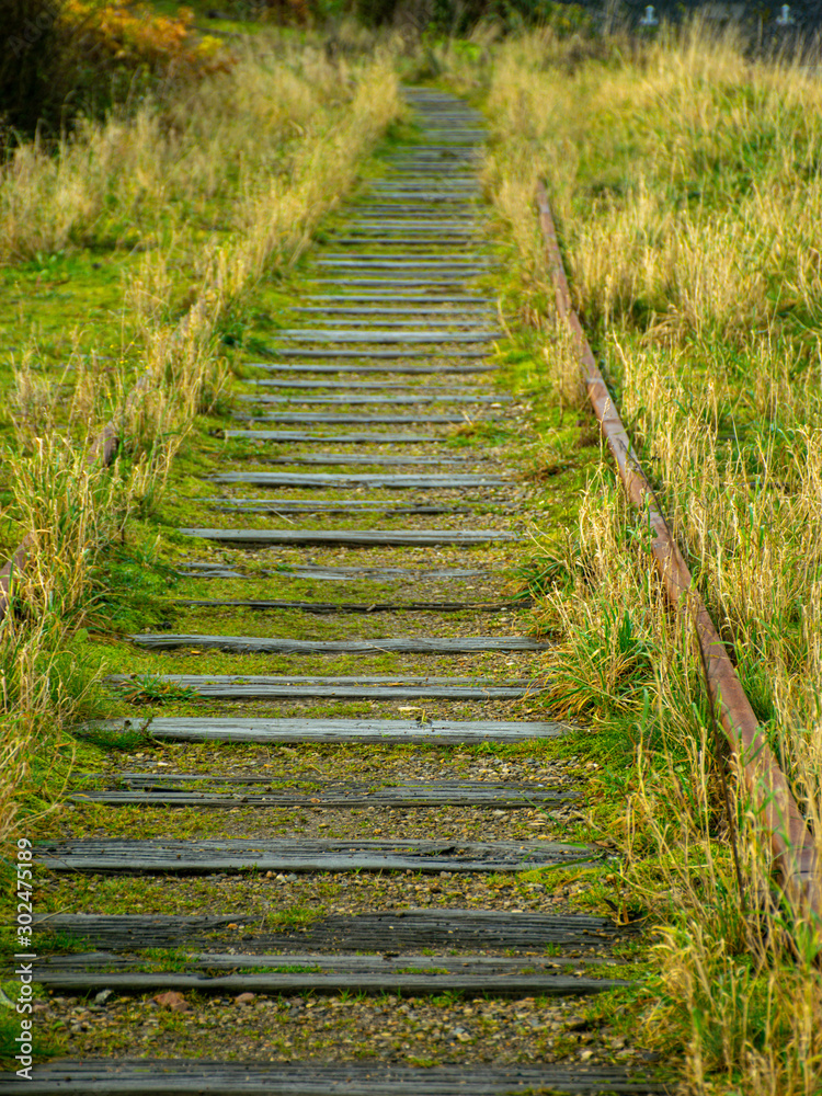 landscape with old railway tracks, grass on the tracks landscape with old railway tracks, grass on the tracks