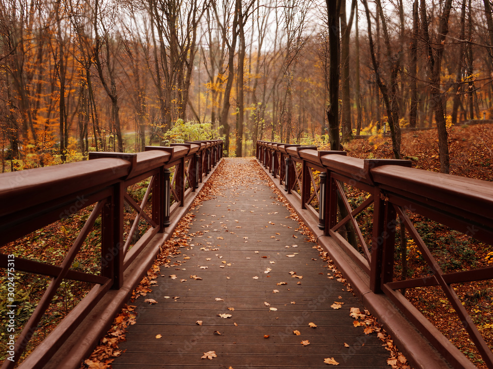 Autumn in the park. Yellow trees. Nature is beautiful. Bridge and river.