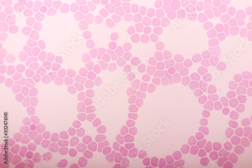 Red blood cells in blood smear, Wright-Giemsa stain, analyze by microscope, 1000x