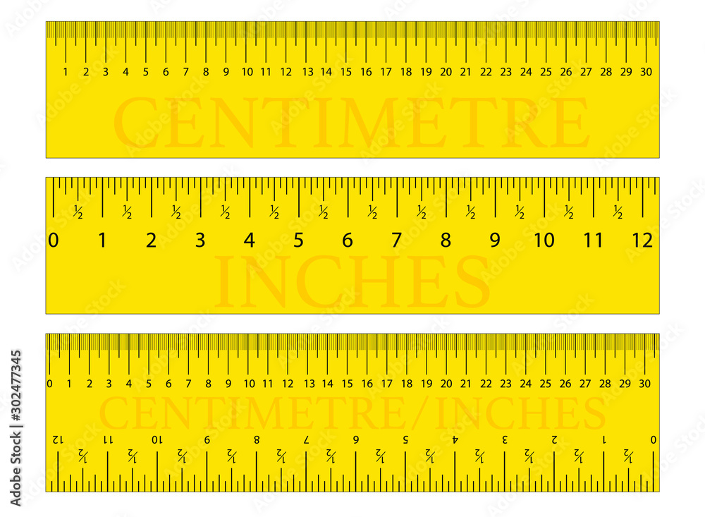 Tape measure presets - centimeter with inches Vector Image