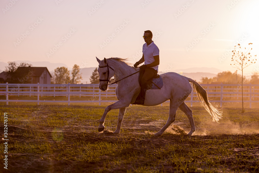 Obraz premium Horse and rider enjoy the day.
