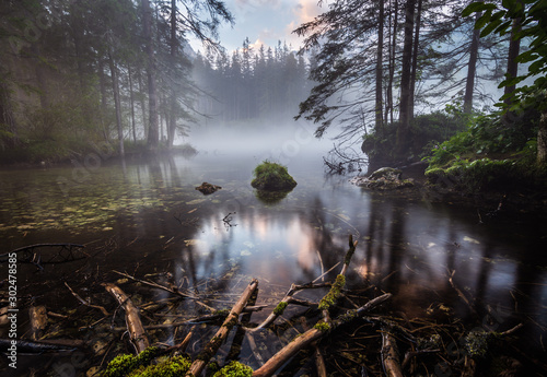 Teich im Nebel mit Ästen im Vordergrund und Bäumen am Ufer