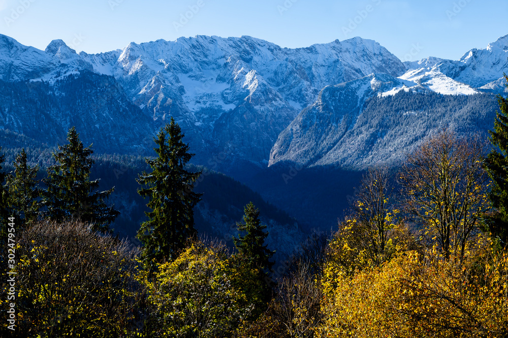 Herbstlicher Bergwald mit goldgelben Blättern vor verschneiten Bergen im Hintergrund