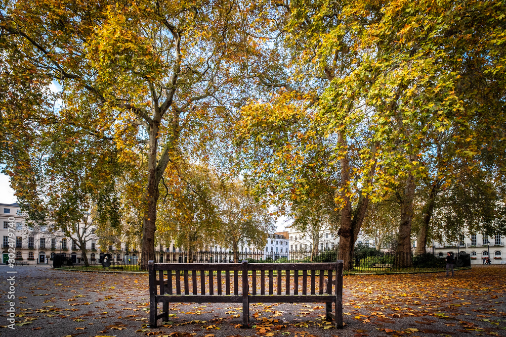 A park bench among autumn leaves on Fitzroy Square, Fitzrovia, London's West End