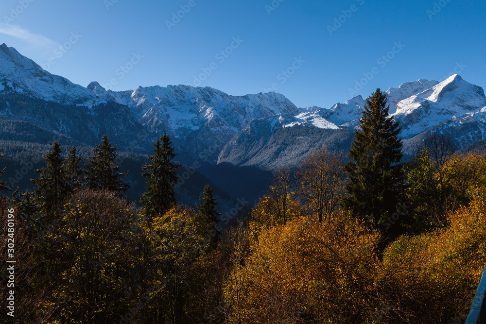 Obraz premium Herbstlicher Bergwald mit goldgelben Blättern vor verschneiten Bergen im Hintergrund