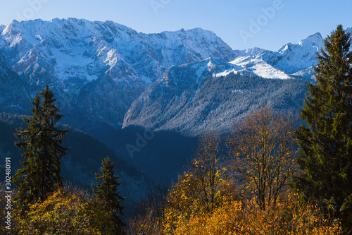 Herbstlicher Bergwald mit goldgelben Blättern vor verschneiten Bergen im Hintergrund