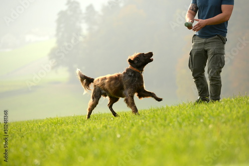Hundefreund. Junger mann spielt mit Jagdhund