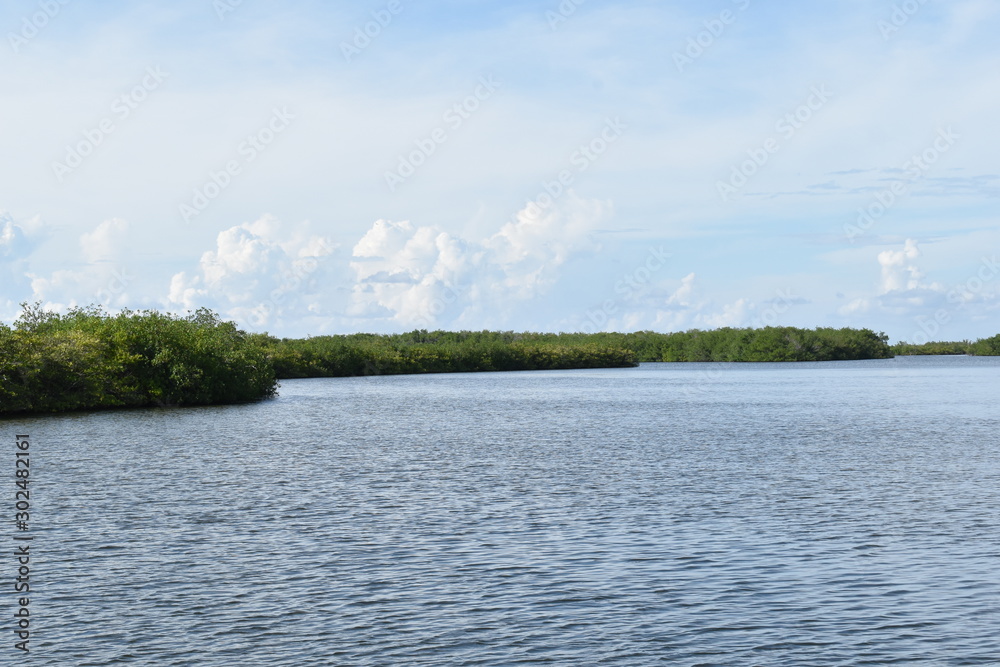 water, river, sky, nature, landscape, blue, clouds, panoramic, grass, Port Canaveral, river