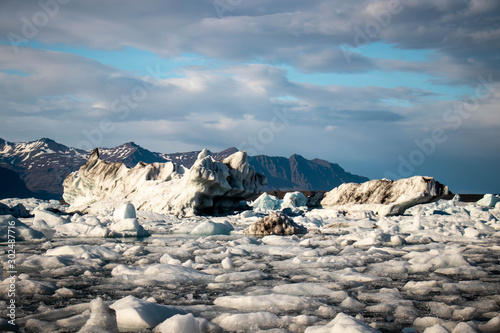 Blocks of ice arriving on black sand beach at Diamond Beach, Iceland in the summer