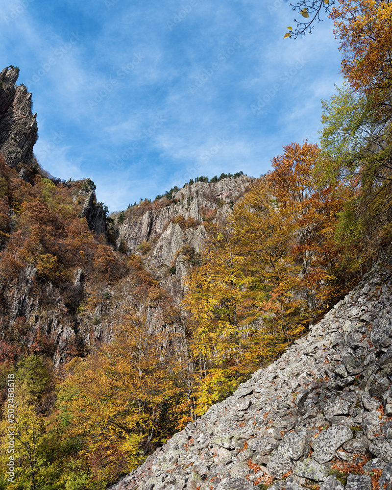 Frakto forest in Rodopi mountain range national park