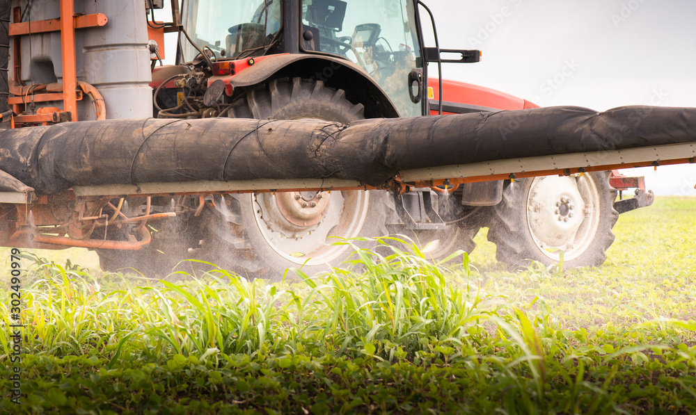 Fototapeta premium Tractor spraying soybean field