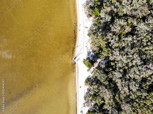 Aerial view of a dead tree on the beach between Boreen Point lagoon and forest