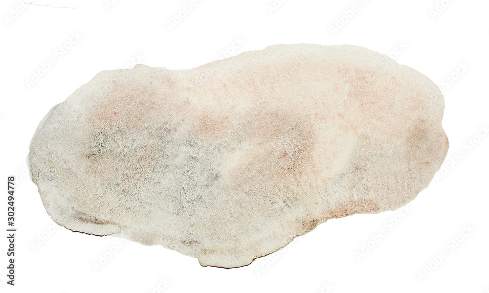 Obraz premium Watercolor Texture Hand Painted Blobs
