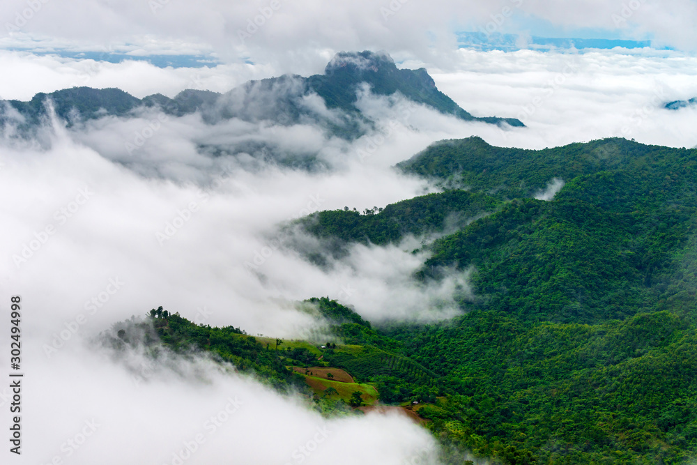 Green mountain with fog on the morning,Thailand,ASIA.