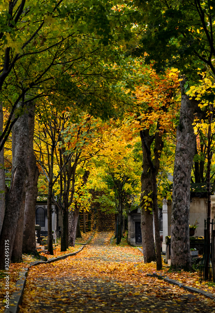 Friedhof Paris Père-Lachaise Bäume Weg Allee Herbst Laub Regen Gräber berühmt Frankreich