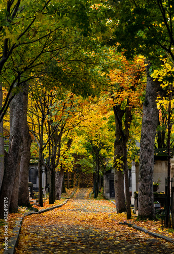 Friedhof Paris P  re-Lachaise B  ume Weg Allee Herbst Laub Regen Gr  ber ber  hmt Frankreich