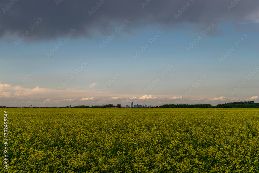 Obraz premium Downtown edmonton from far away (cloudy)